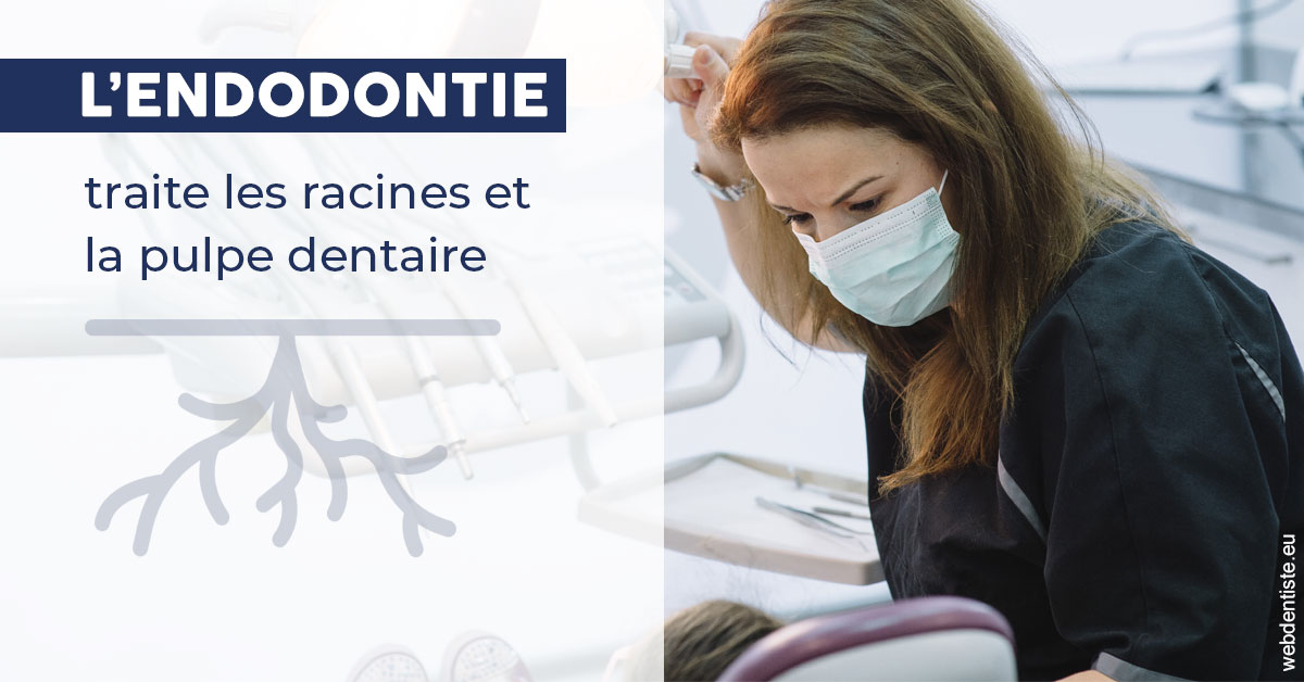 https://dr-courtois-roland.chirurgiens-dentistes.fr/L'endodontie 1