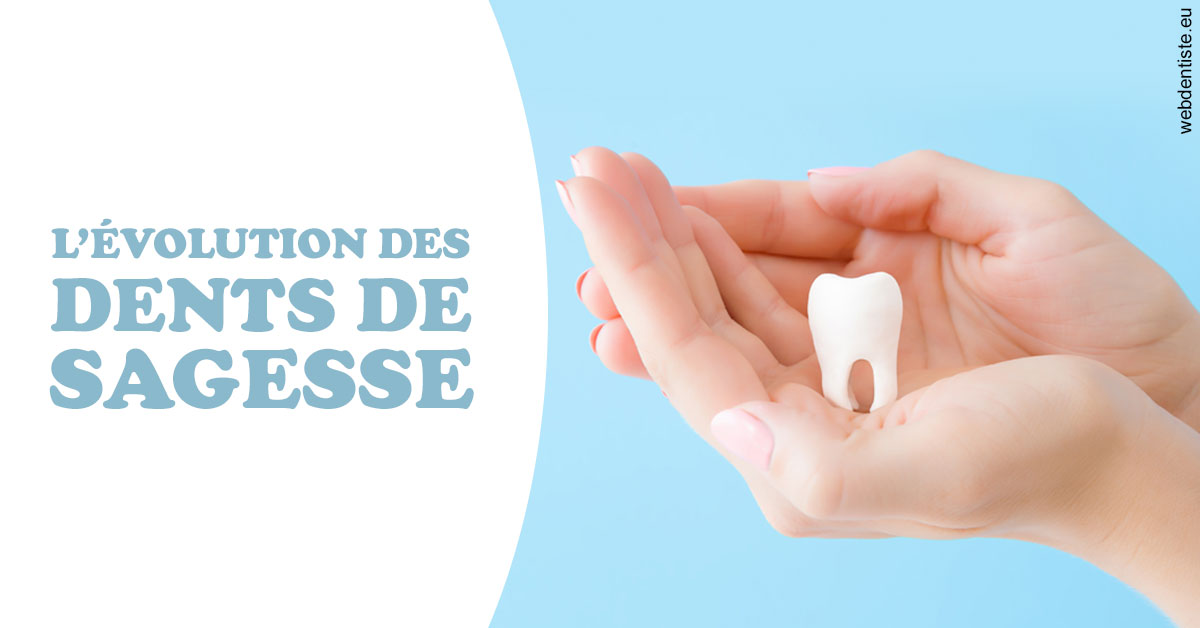 https://dr-courtois-roland.chirurgiens-dentistes.fr/Evolution dents de sagesse 1