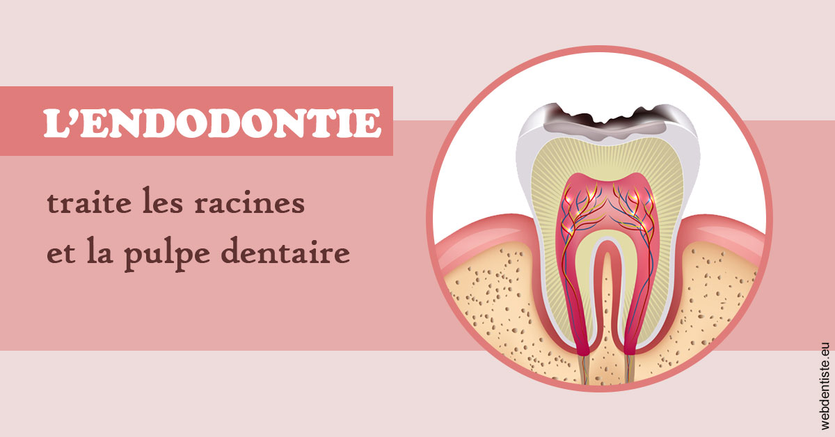 https://dr-courtois-roland.chirurgiens-dentistes.fr/L'endodontie 2