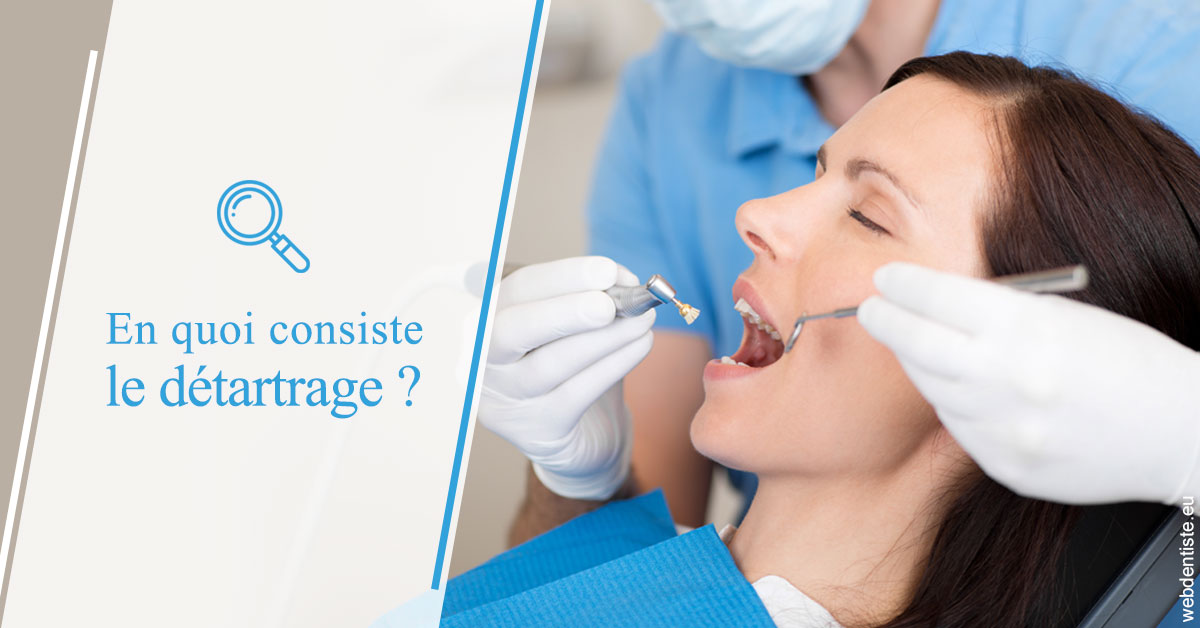 https://dr-courtois-roland.chirurgiens-dentistes.fr/En quoi consiste le détartrage